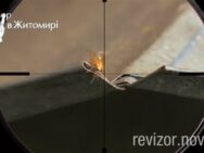Випуск 6. Сезон 5. «Ревізор» у Житомирі