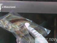 Миколаїв. Частина 5. Дві години на усунення недоліків