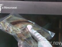 Миколаїв. Частина 3. Ревізора обважили, але він хоче повернутися